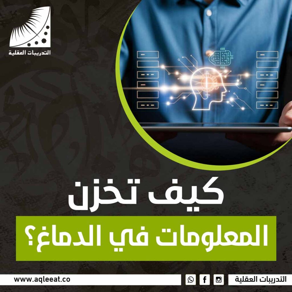 كيف تخزن المعلومات في الدماغ