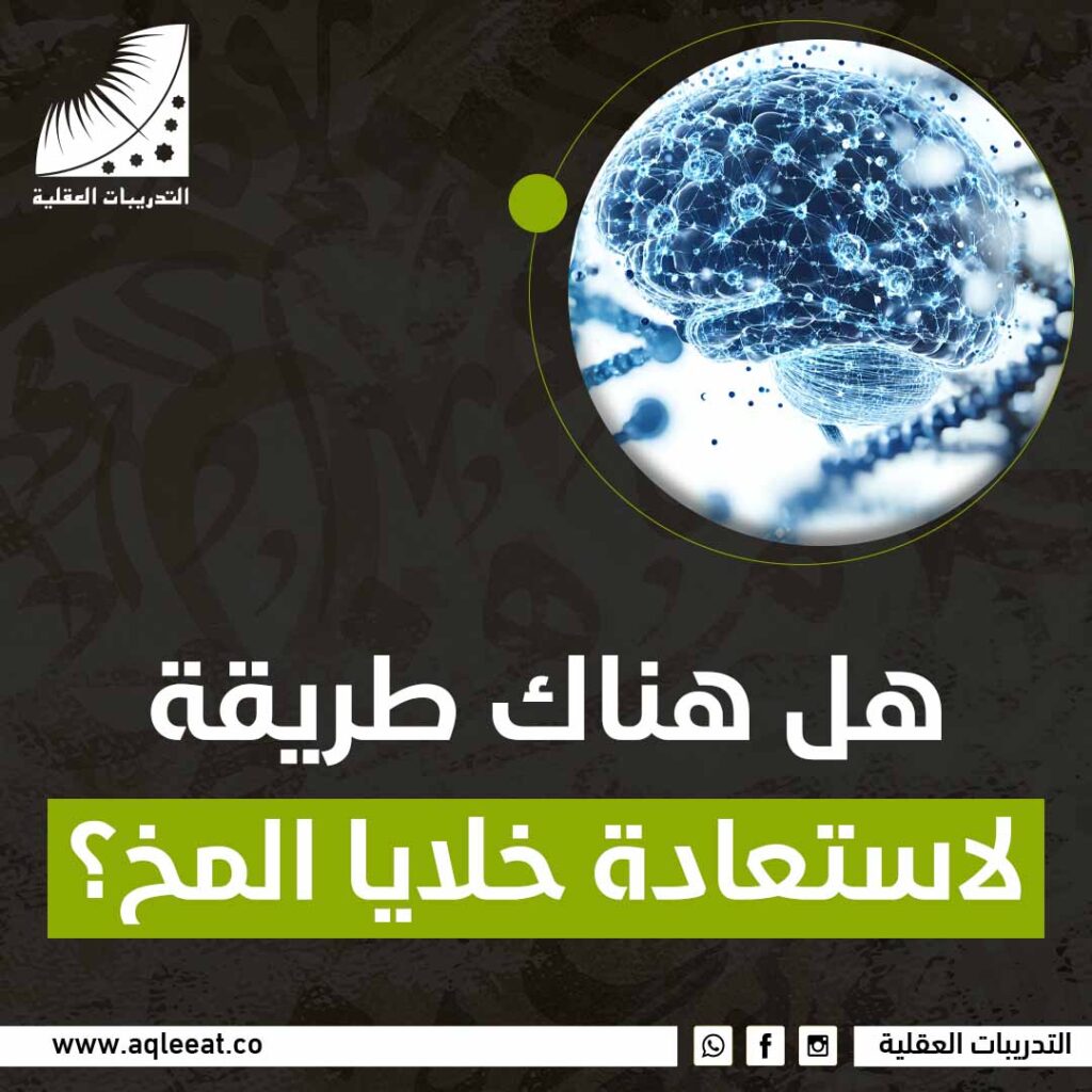 هل هناك طريقة لاستعادة خلايا المخ؟