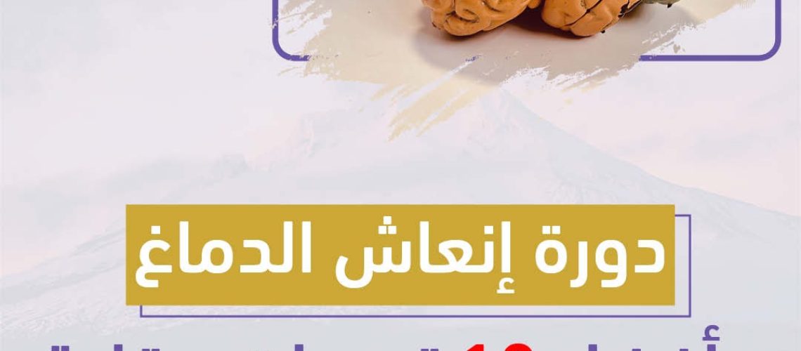 دورة إنعاش الدماغ وأفضل 10 تدريبات عقلية