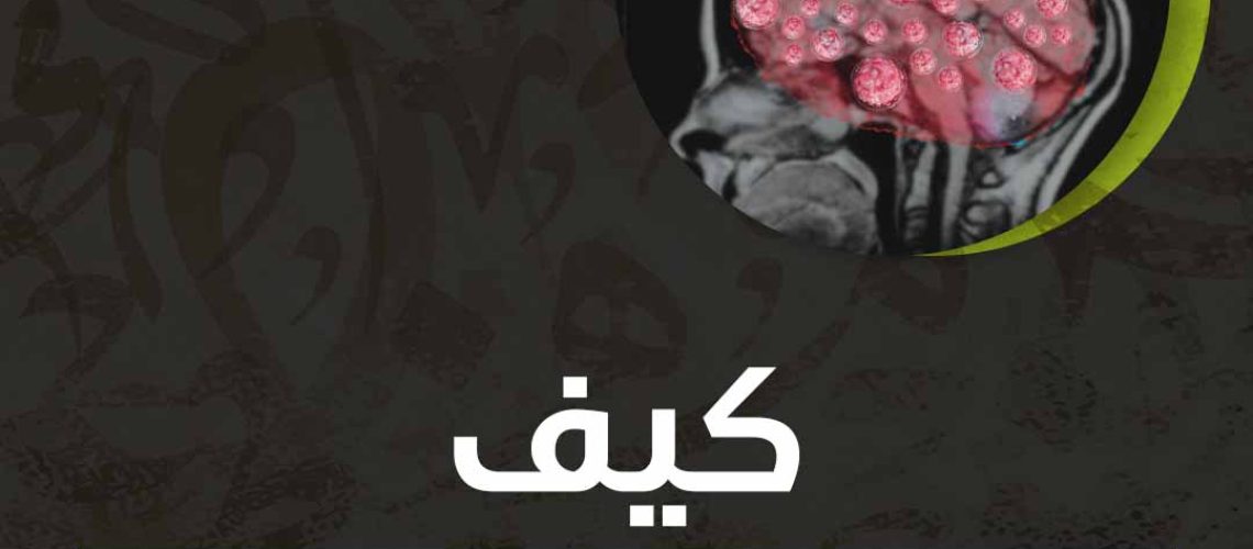 كيف ازيد خلايا المخ