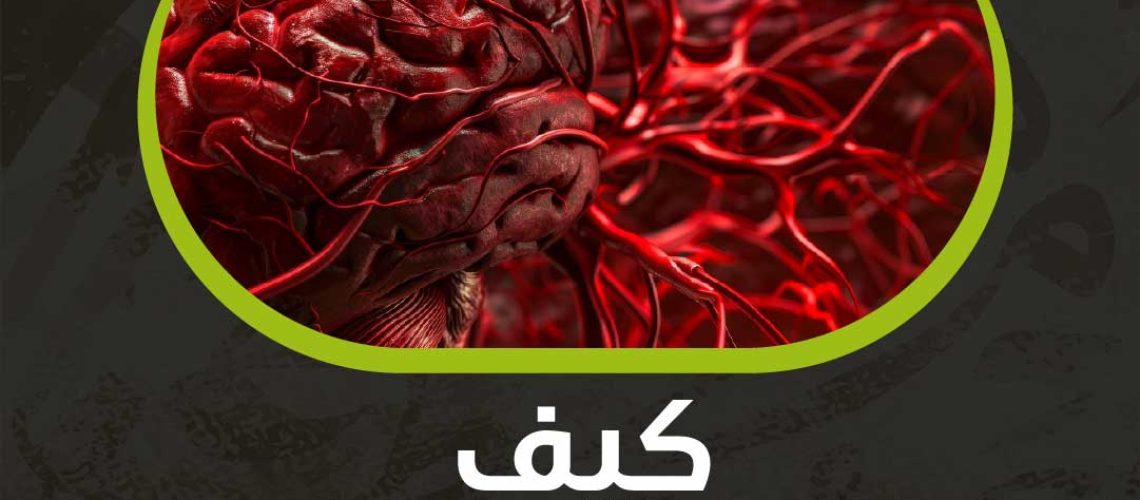 كيف تزيد تدفق الدم في الدماغ؟